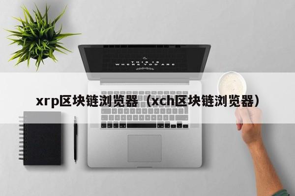 xrp区块链浏览器（xch区块链浏览器）