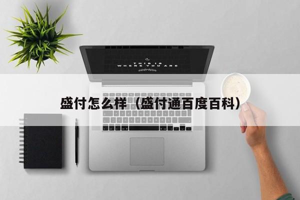 盛付怎么样（盛付通百度百科）