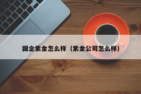 国企紫金怎么样（紫金公司怎么样）