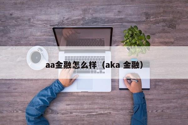 aa金融怎么样（aka 金融）