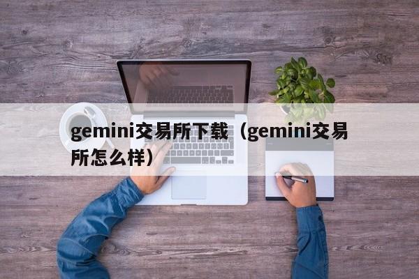 gemini交易所下载（gemini交易所怎么样）