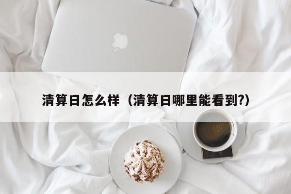 清算日怎么样(清算日哪里能看到?)
