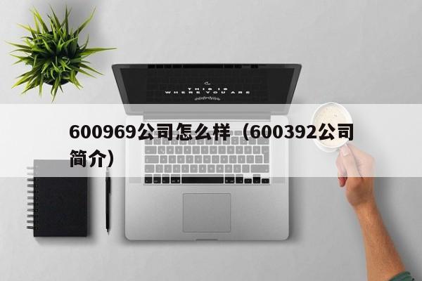 600969公司怎么样（600392公司简介）