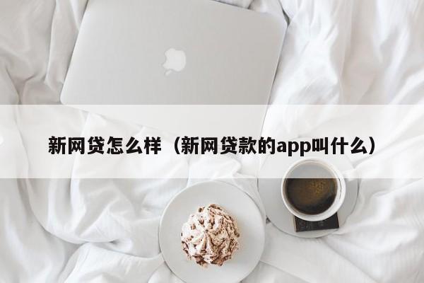 新网贷怎么样（新网贷款的app叫什么）