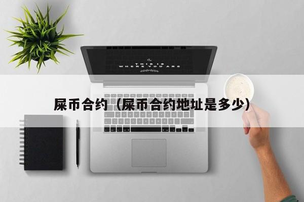 屎币合约（屎币合约地址是多少）