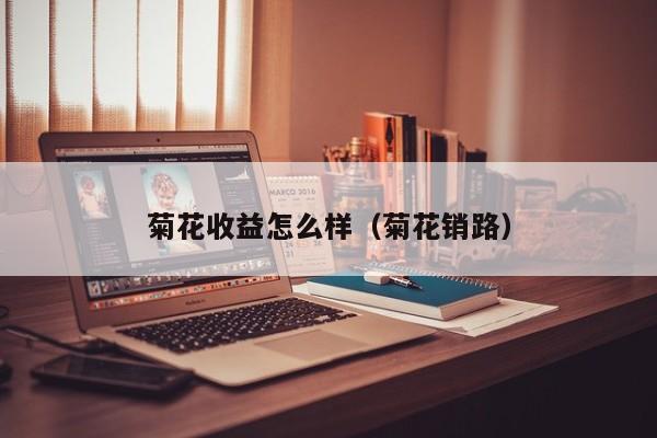 菊花收益怎么样(菊花销路)