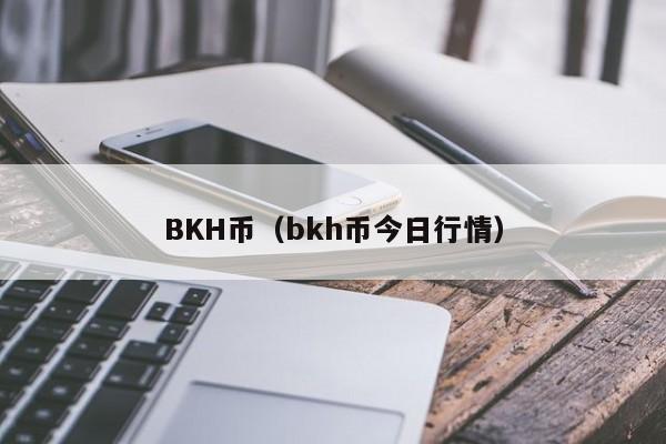 BKH币（bkh币今日行情）