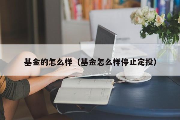 基金的怎么样（基金怎么样停止定投）