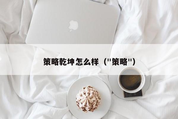 策略乾坤怎么样（"策略"）