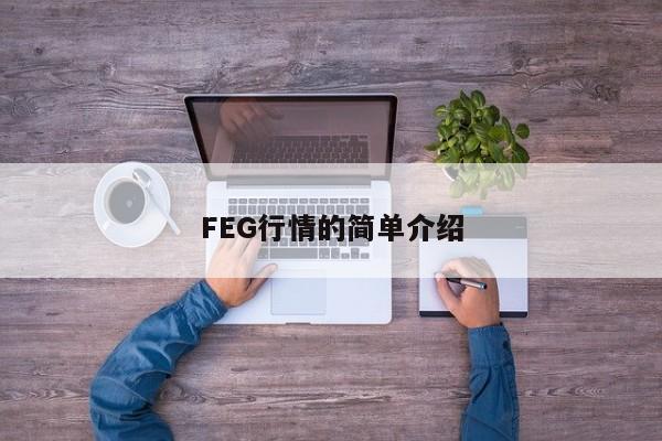 FEG行情的简单介绍