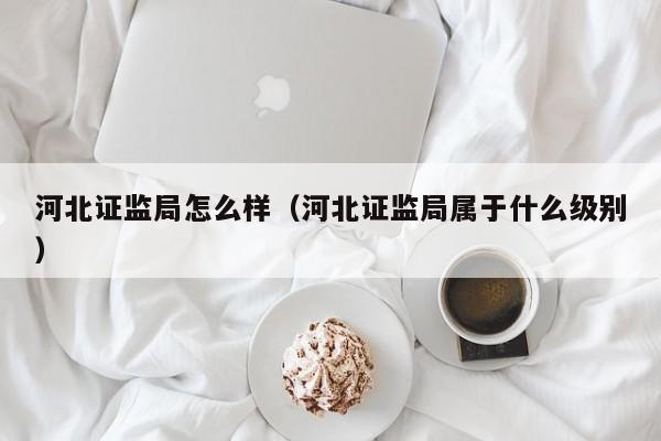 河北证监局怎么样（河北证监局属于什么级别）