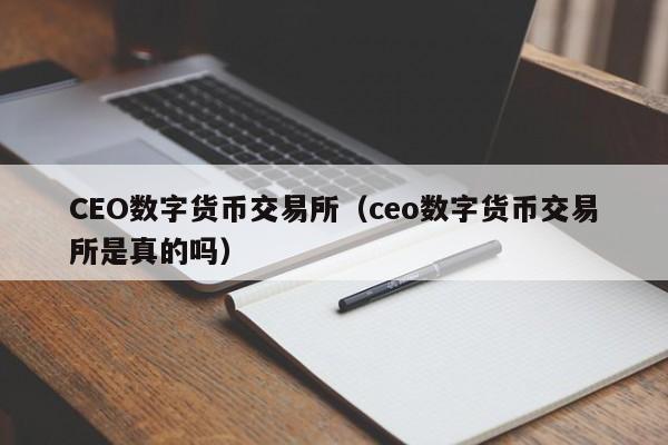 CEO数字货币交易所（ceo数字货币交易所是真的吗）