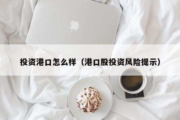 投资港口怎么样（港口股投资风险提示）