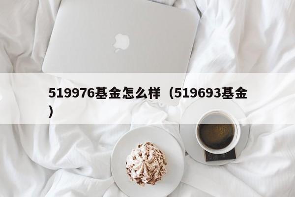 519976基金怎么样（519693基金）