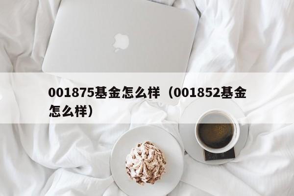 001875基金怎么样（001852基金怎么样）