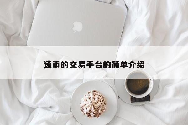 速币的交易平台的简单介绍