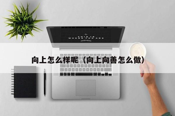向上怎么样呢（向上向善怎么做）